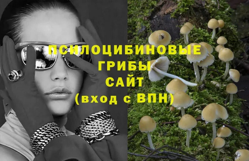 даркнет сайт  Сыктывкар  Галлюциногенные грибы Magic Shrooms 