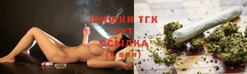 Бошки Шишки план  Сыктывкар 